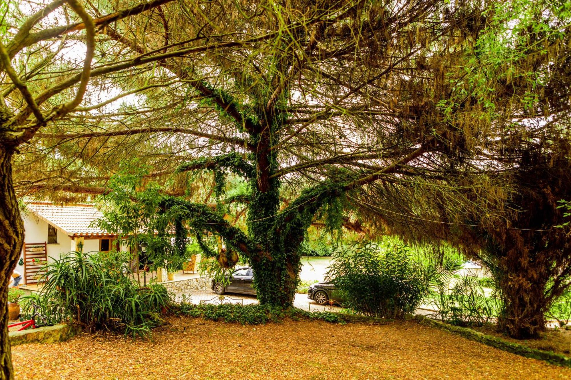 Quinta O Refugio Villa Azambuja Exterior photo